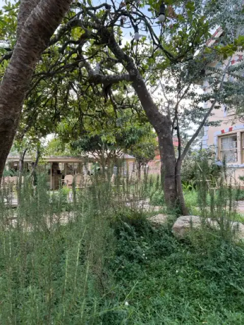 ảnh 1